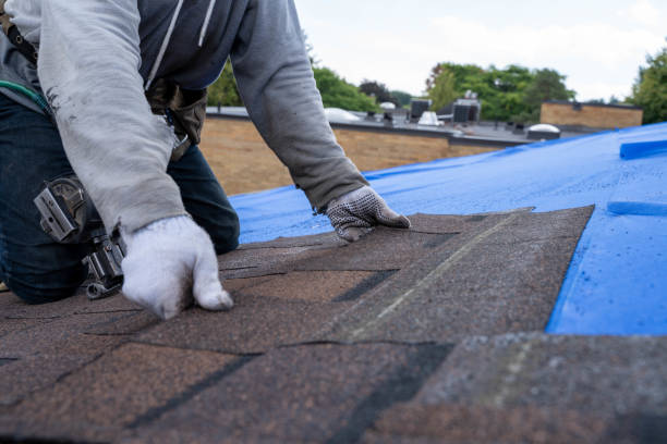 Quick and Trustworthy Emergency Roof Repair Services in Palm Harbor, FL