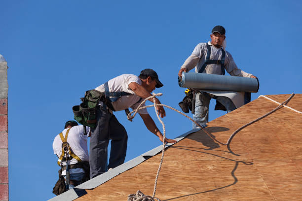 Quick and Trustworthy Emergency Roof Repair Services in Palm Harbor, FL