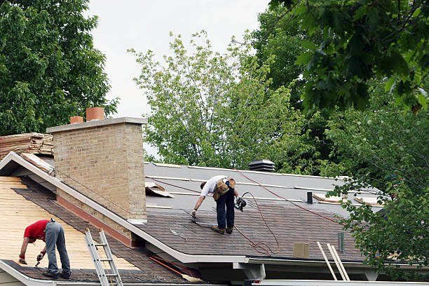 Roof Repair Estimates in Palm Harbor, FL
